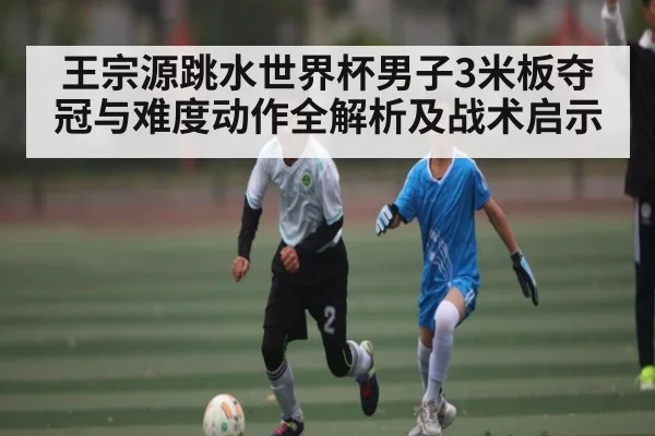 王宗源跳水世界杯男子3米板夺冠与难度动作全解析及战术启示